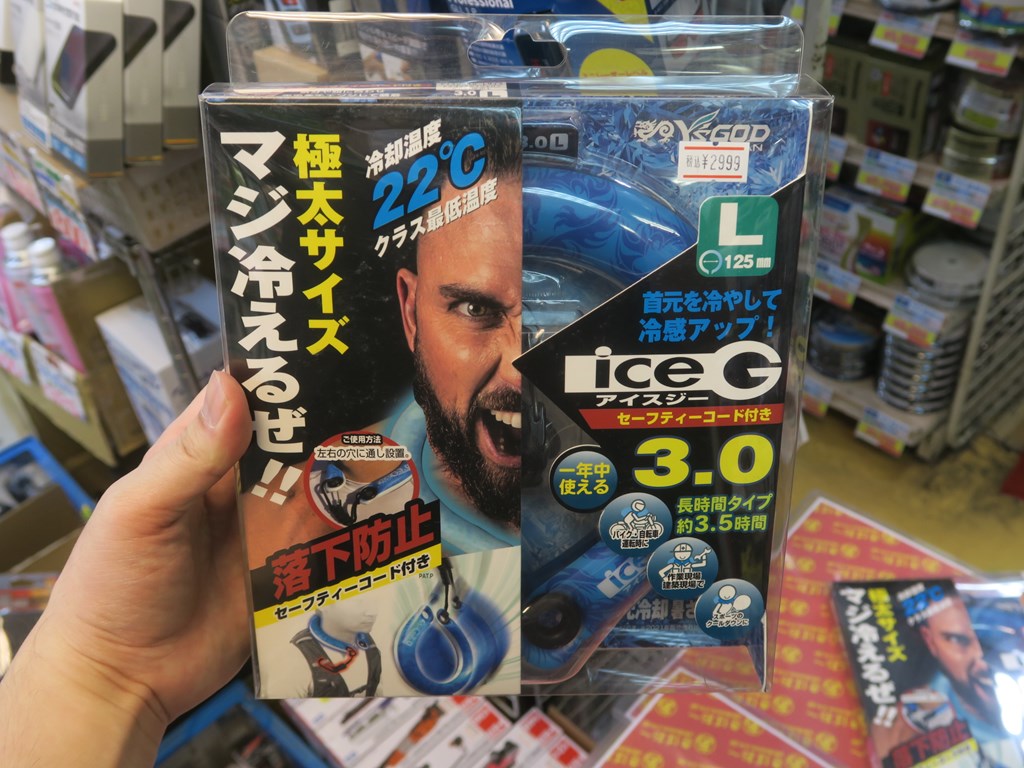 iceg3_1024x768c