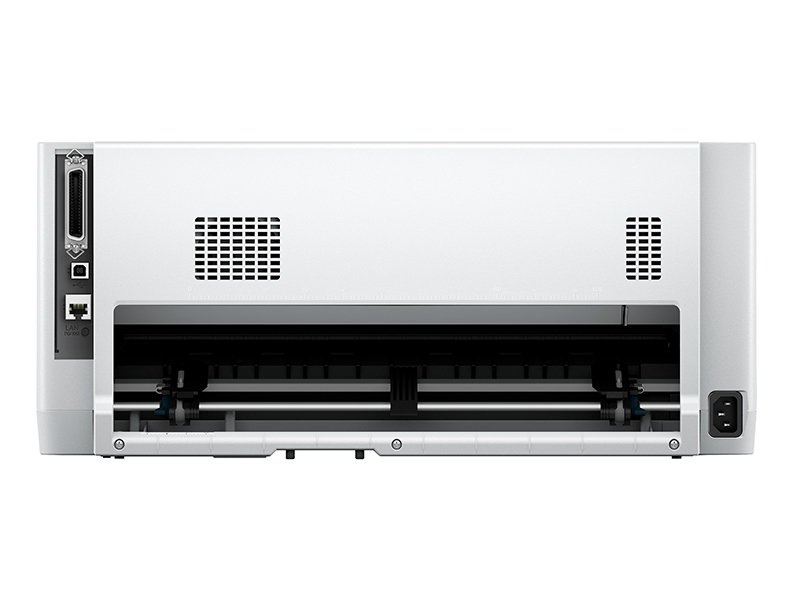 vp240021000_800x600d