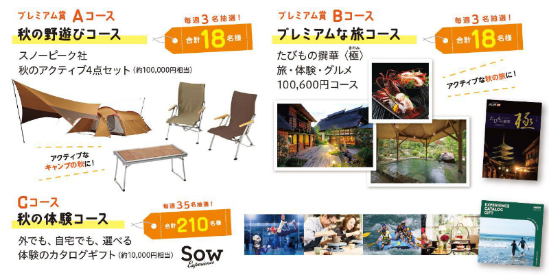 active_autumn_800x401