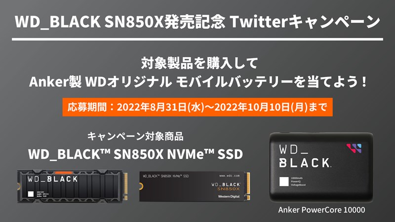 wd_camp220831_800x450
