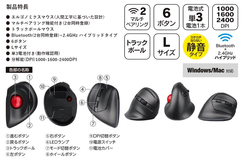 GRFDMUS_800x533