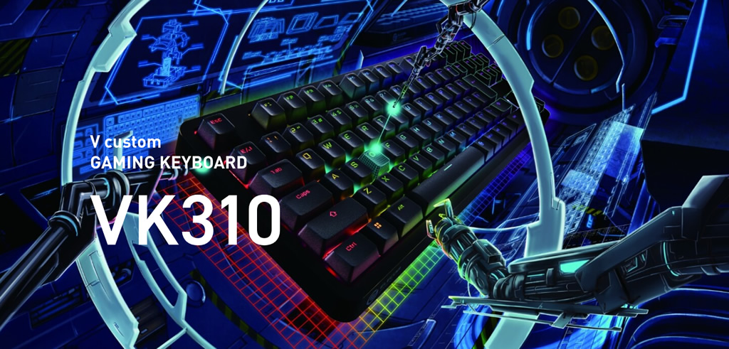 VK310_1024x491