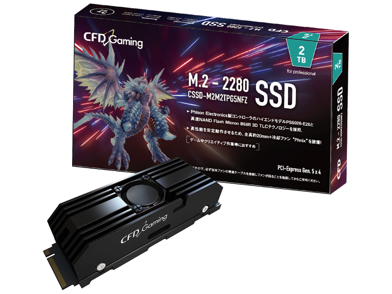 PG5NFZ_800x600c