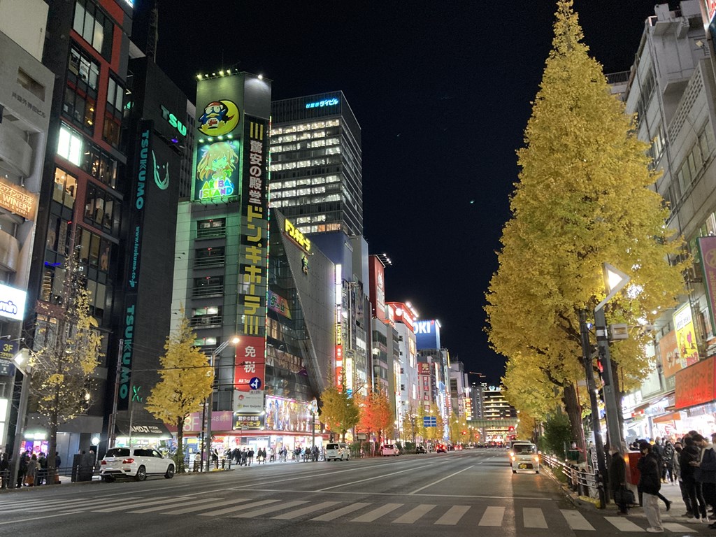 koreiti2022_02_142