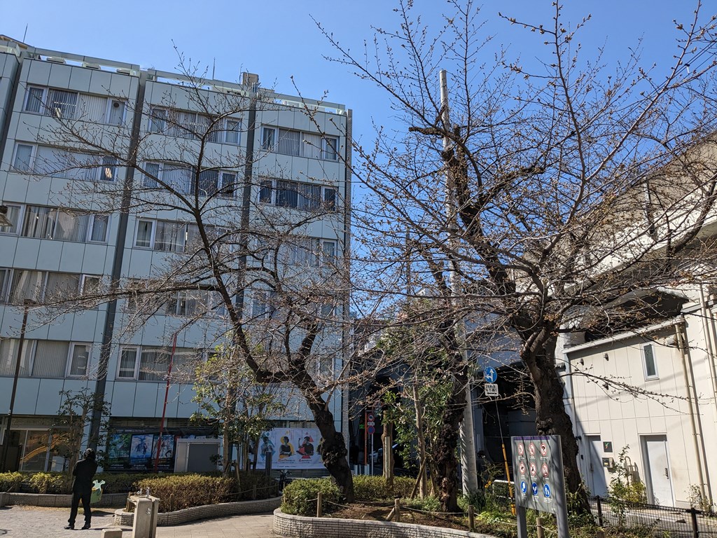 sakura2023_04