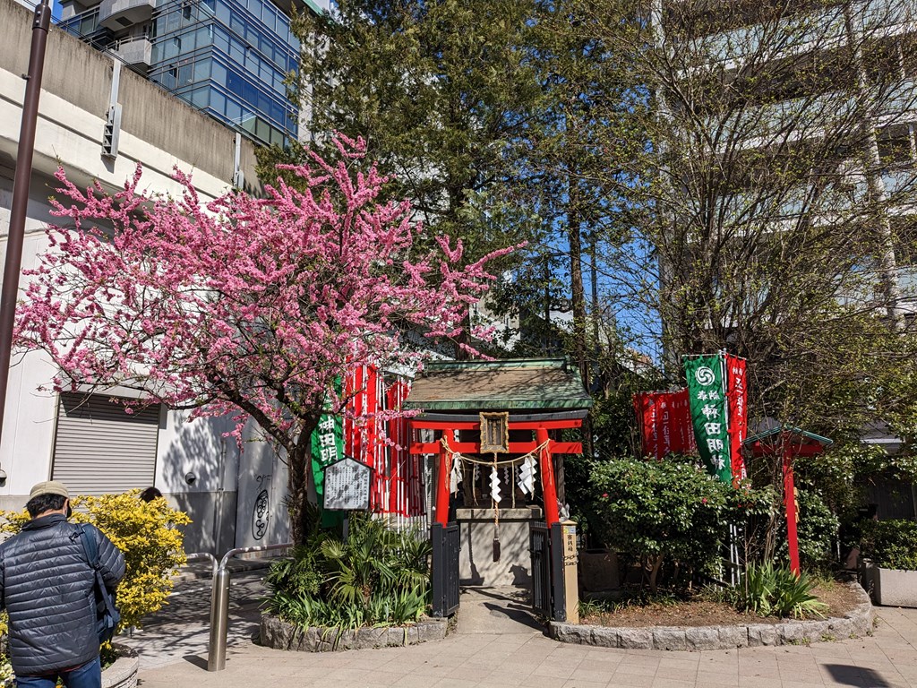 sakura2023_06
