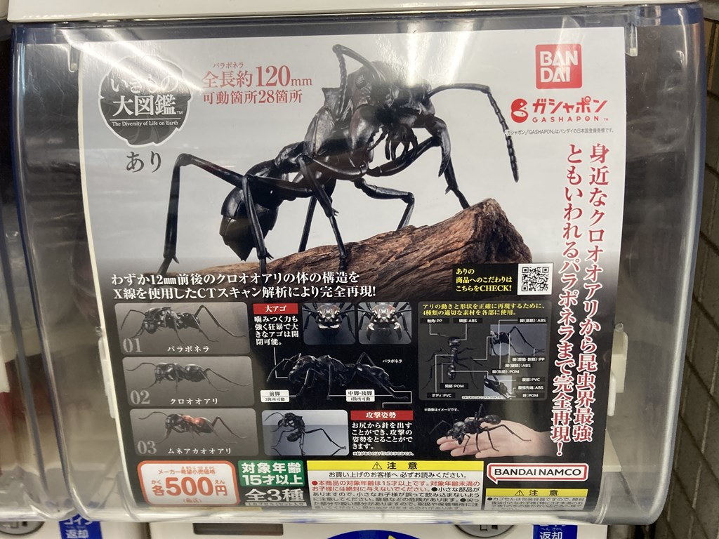 akbgacha_230330_03