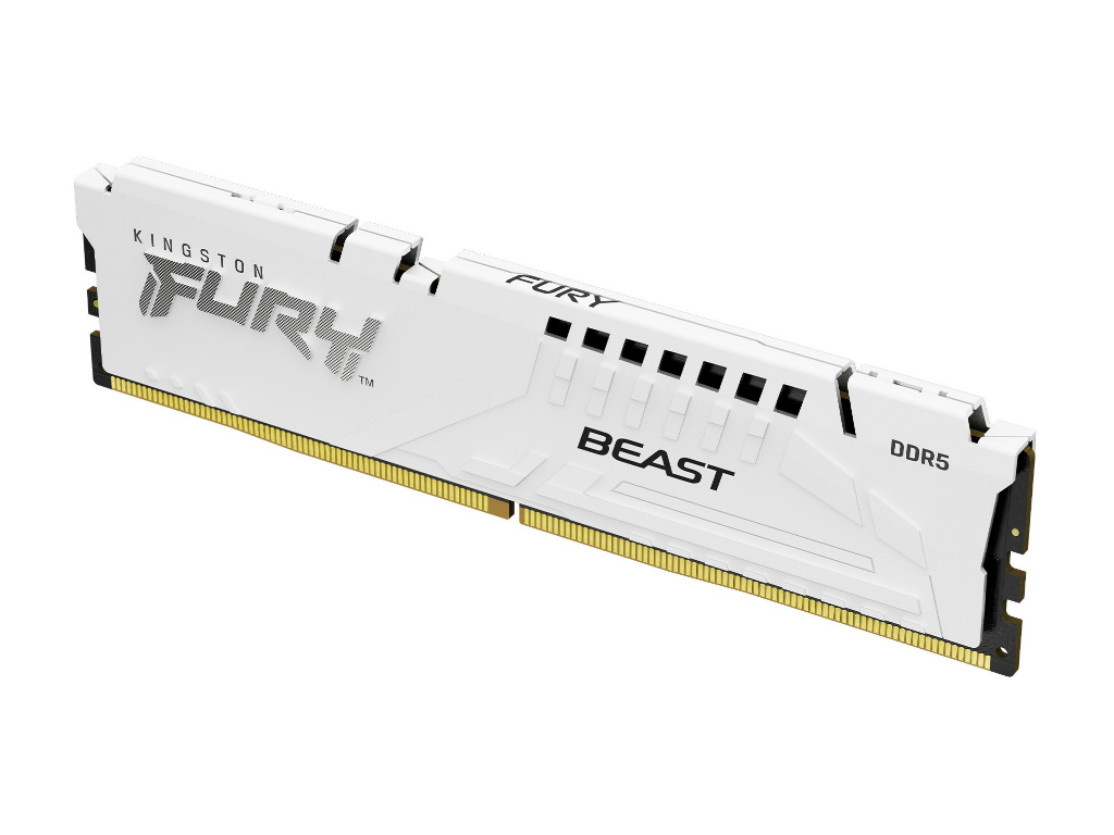 FURY_Beast_White_DDR5_1024x768a