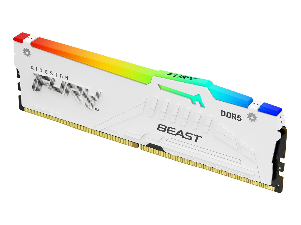 FURY_Beast_White_RGB_DDR5_1024x768a