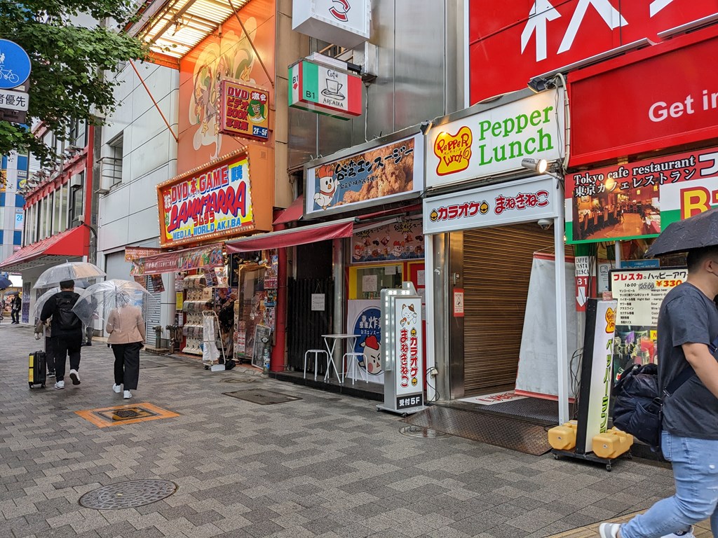 taiwan_karaage_05