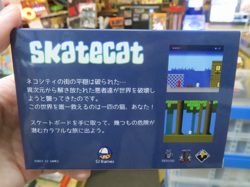 SkateCat_04
