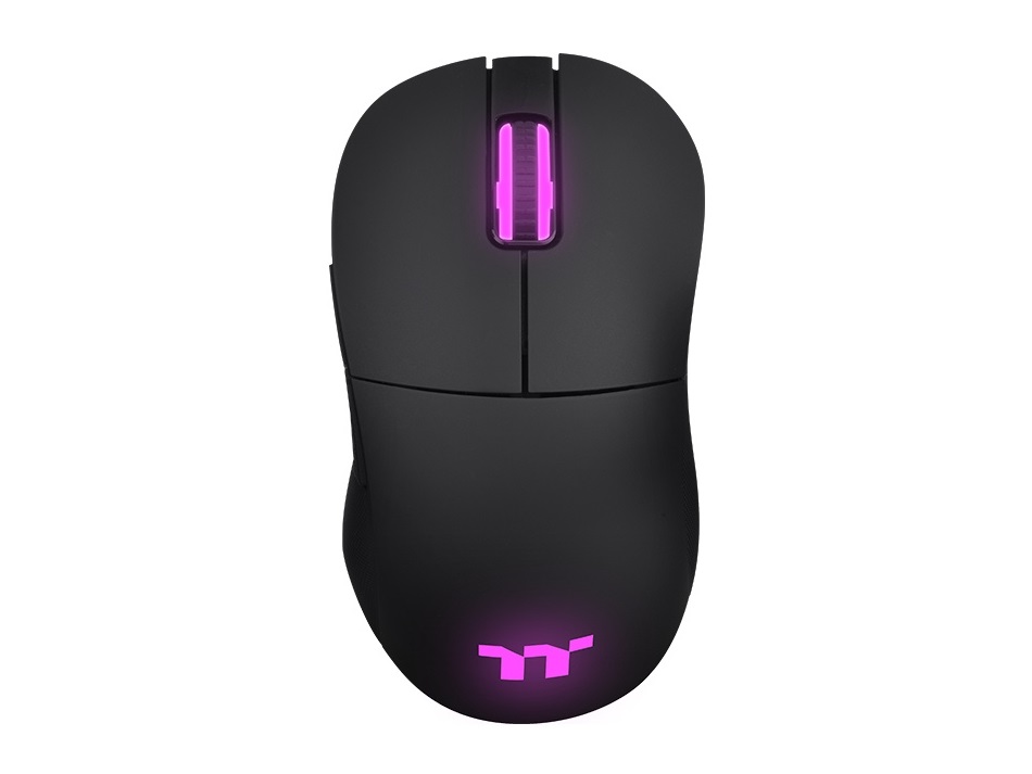DAMYSUS_RGB_03