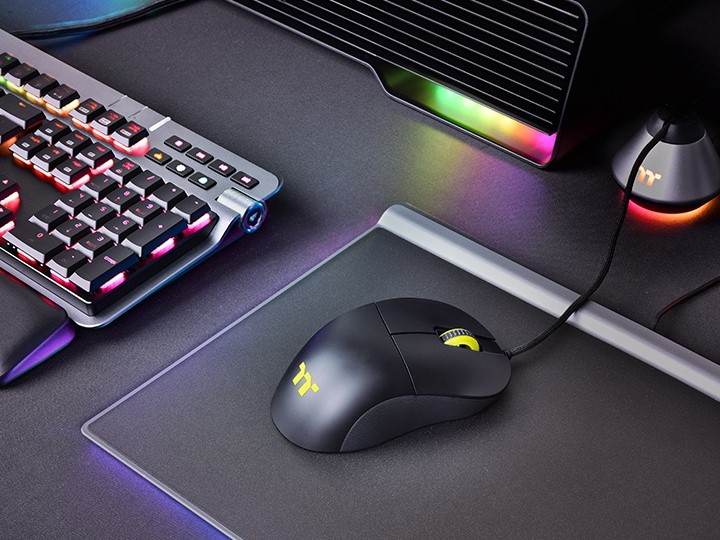 DAMYSUS_RGB_05