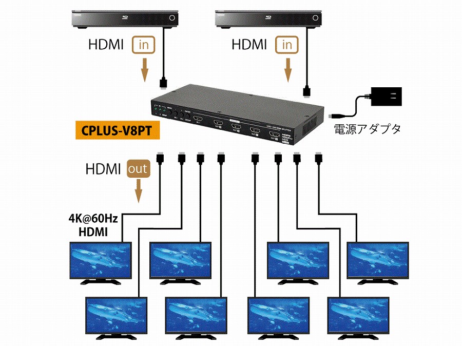 CPLUSV8PT_02