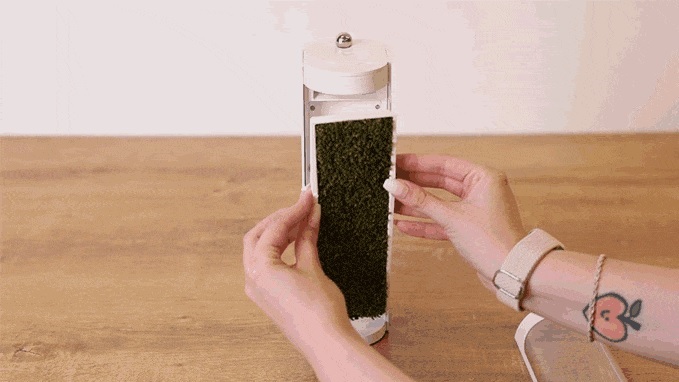 moss_air_09