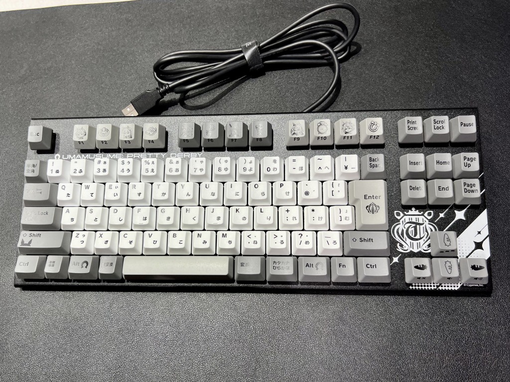 REALFORCE_GX1u_mamusume_03