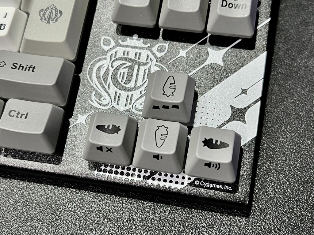 REALFORCE_GX1u_mamusume_04
