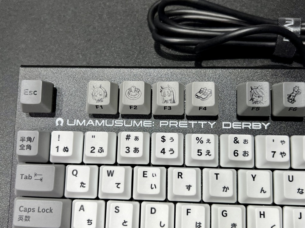 REALFORCE_GX1u_mamusume_05