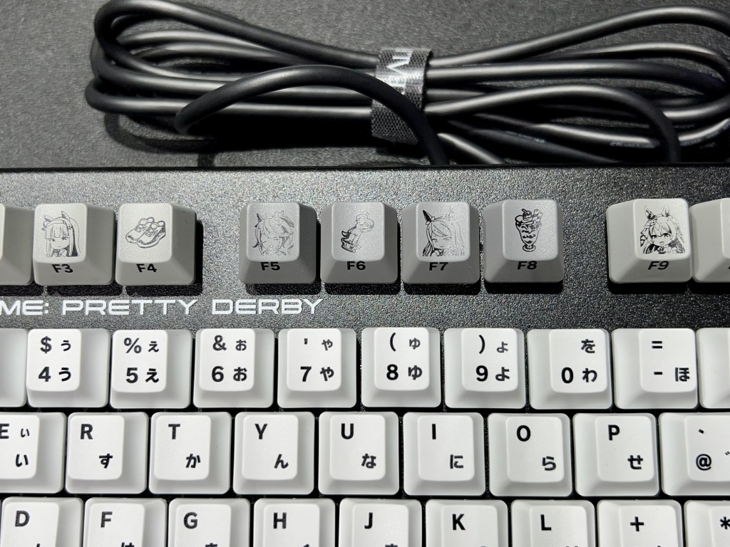 REALFORCE_GX1u_mamusume_06