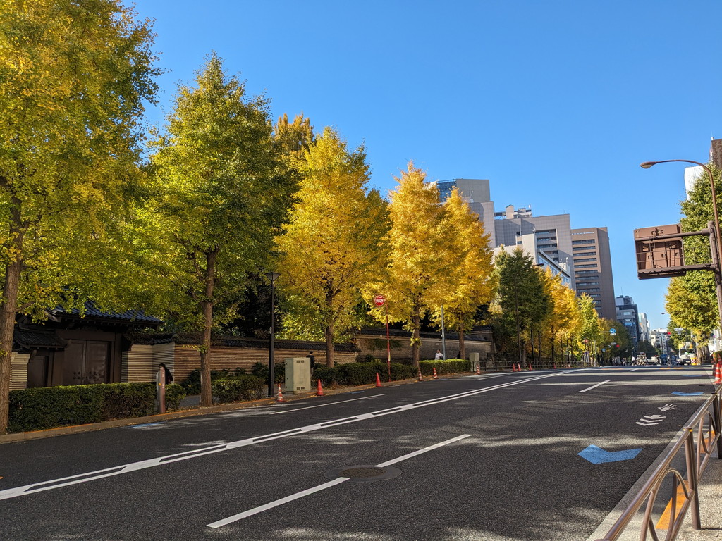 kouyou_akb_2023_04