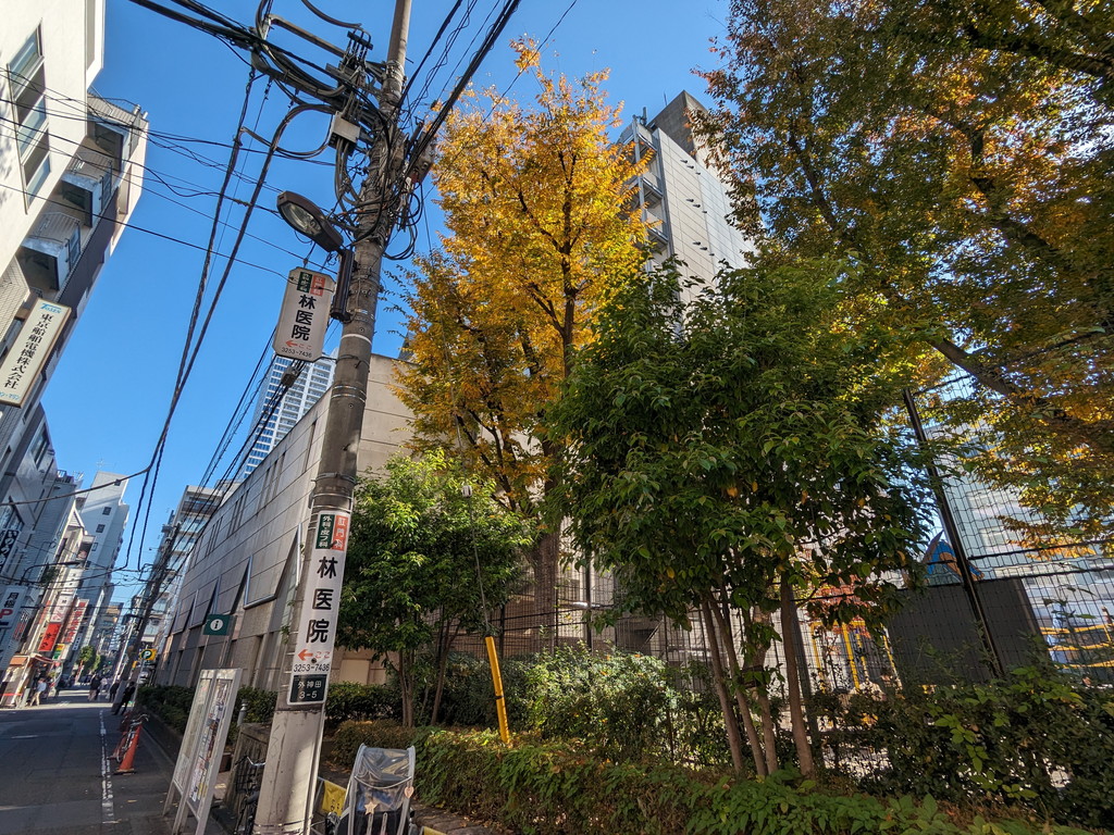 kouyou_akb_2023_05