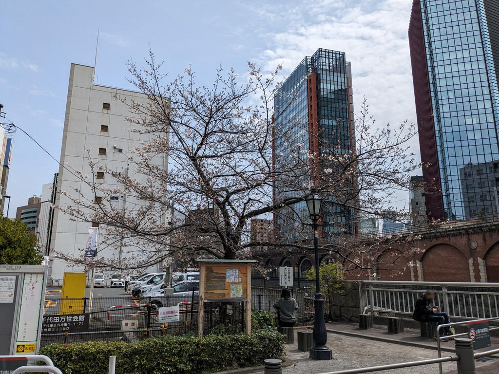 sakura_akihabara2024_06