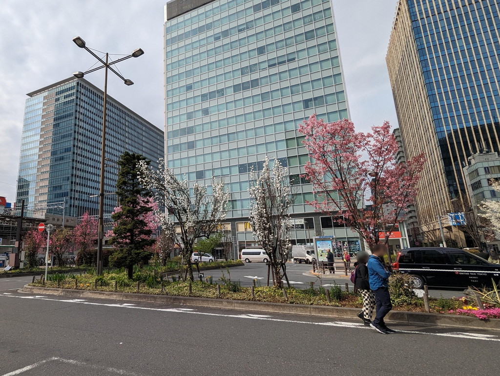 sakura_akihabara2024_07