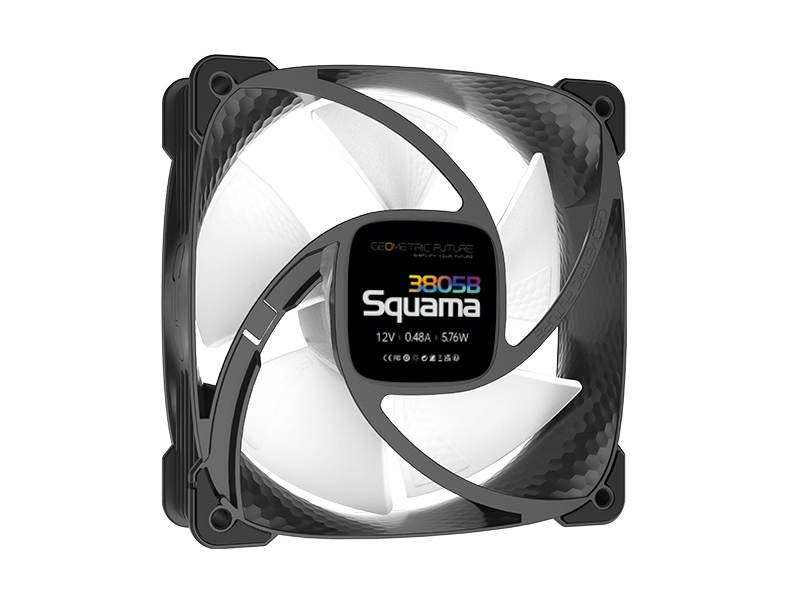 squama_3805_04