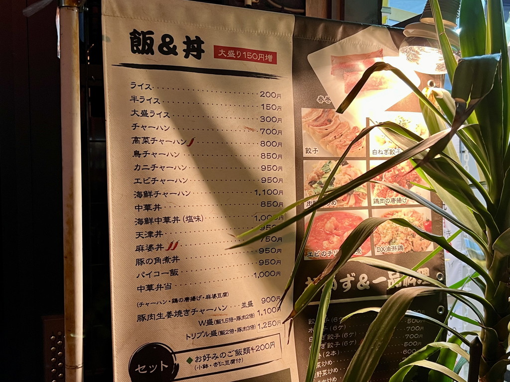 240422shinyadon_03