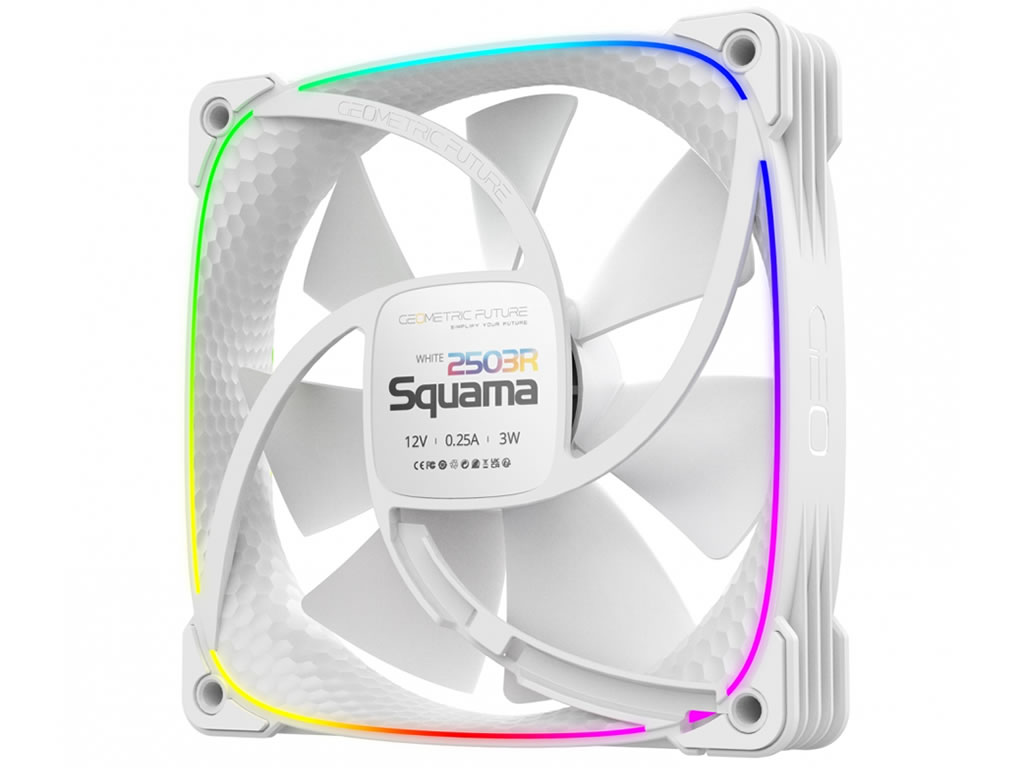 Squama_2503B_04