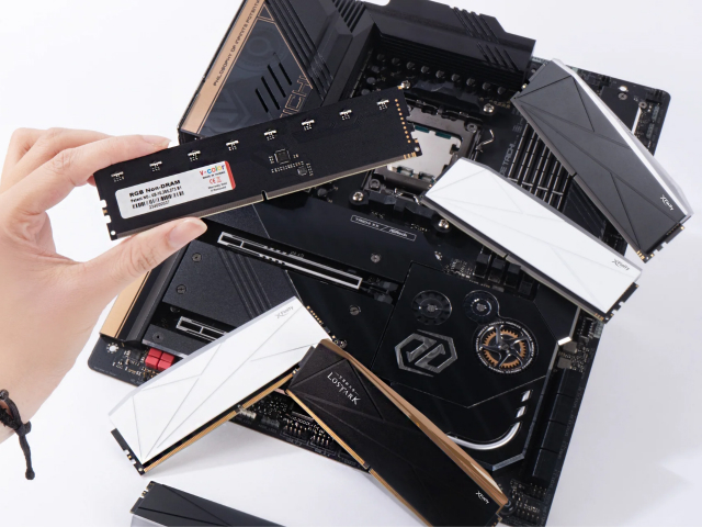 DDR5_RGB_Filler_Kit_argb_03