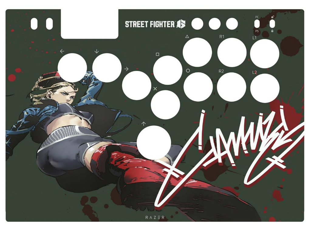 Skins_for_Razer_Kitsune_cammy