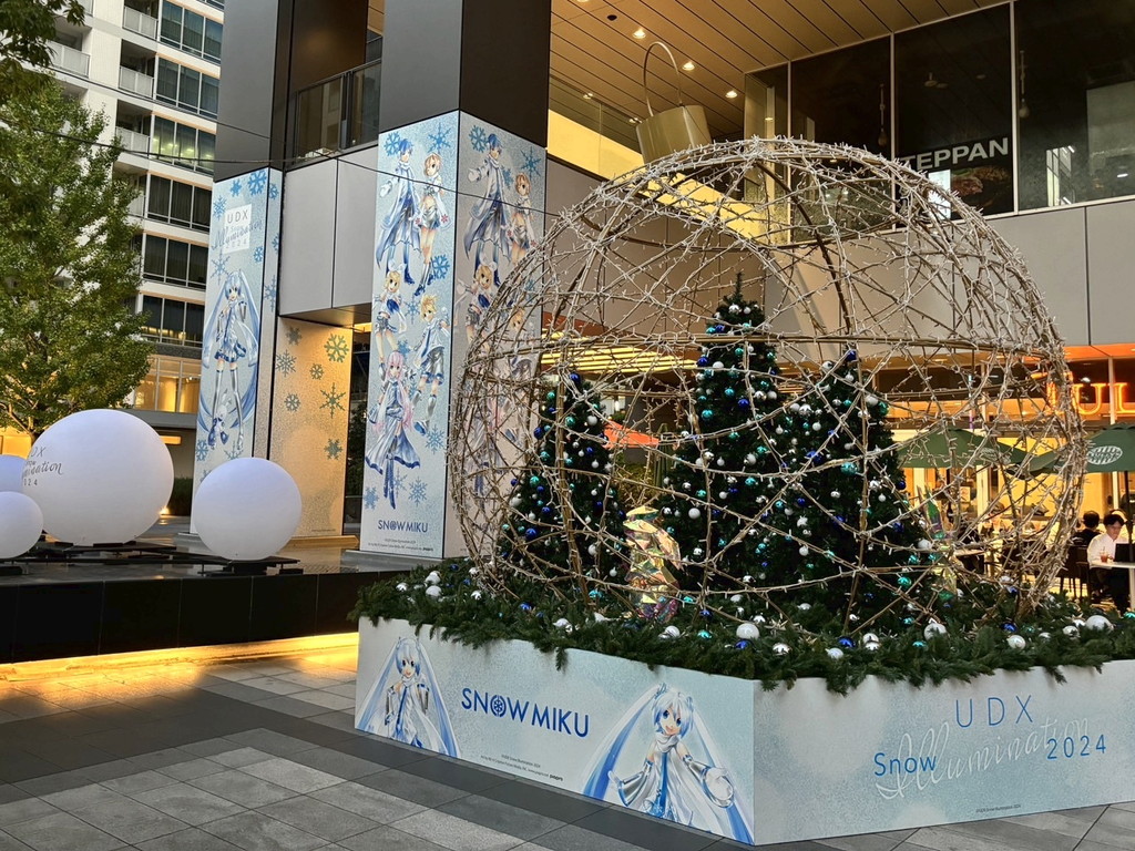 UDX_Snow_Illumination_2024_03