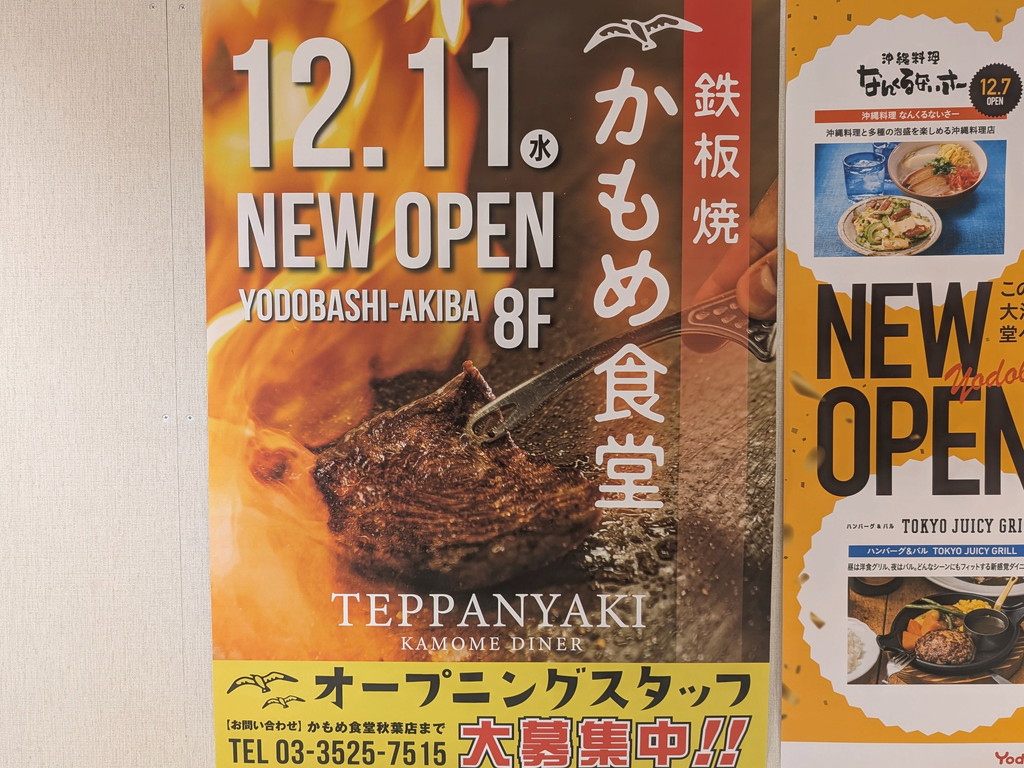 yodobashi241204_08