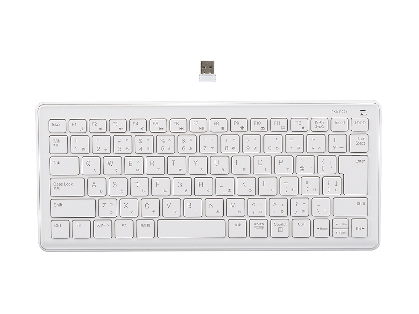 FKB_R251_6
