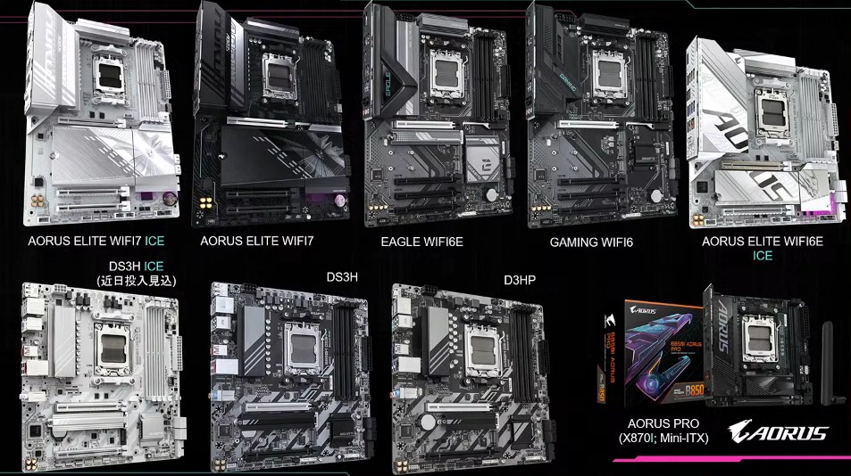 20250316_amd_24