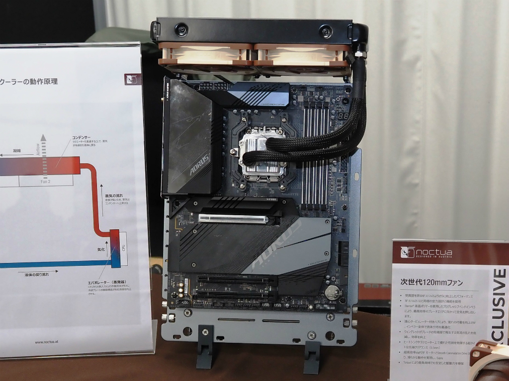 noctua_001