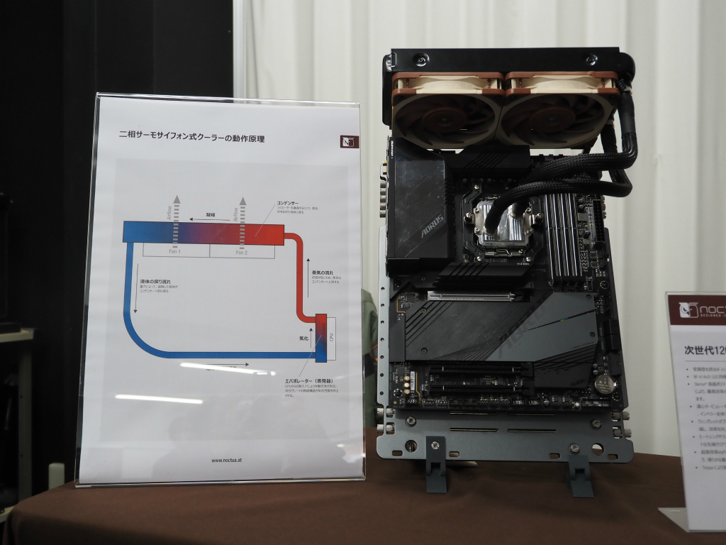 noctua_101
