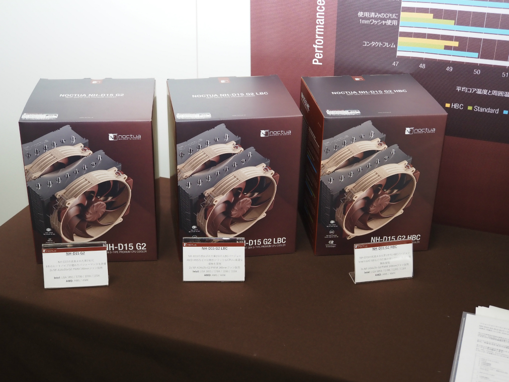noctua_302