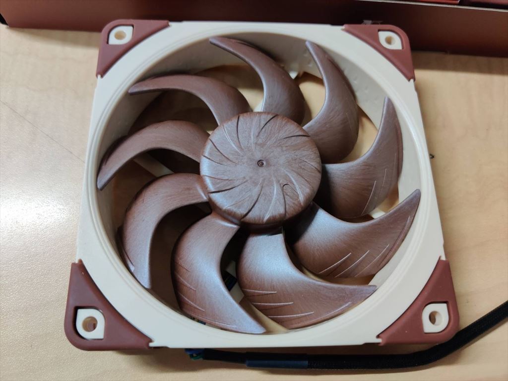 akiba_noctua_20250715_05