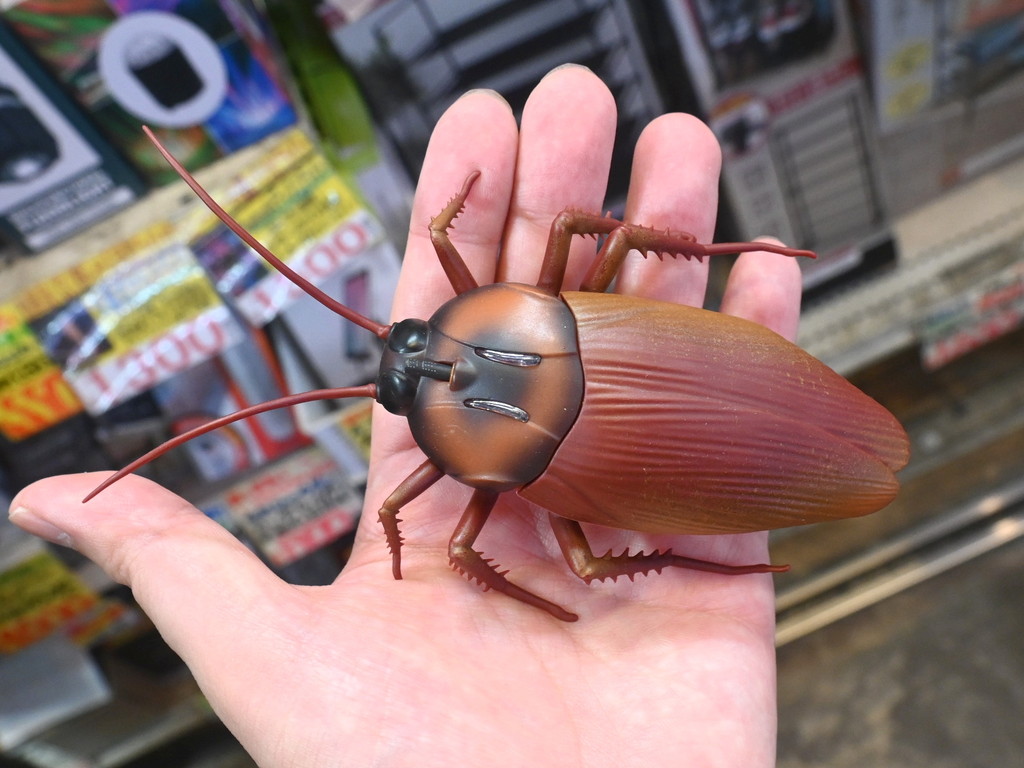 (アキバ取材班) センサーで人を避けて動き回るゴ○ブリ＆テントウムシが入荷。価格は660円