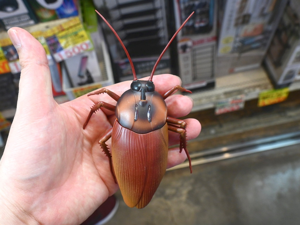 goki_tentou_03