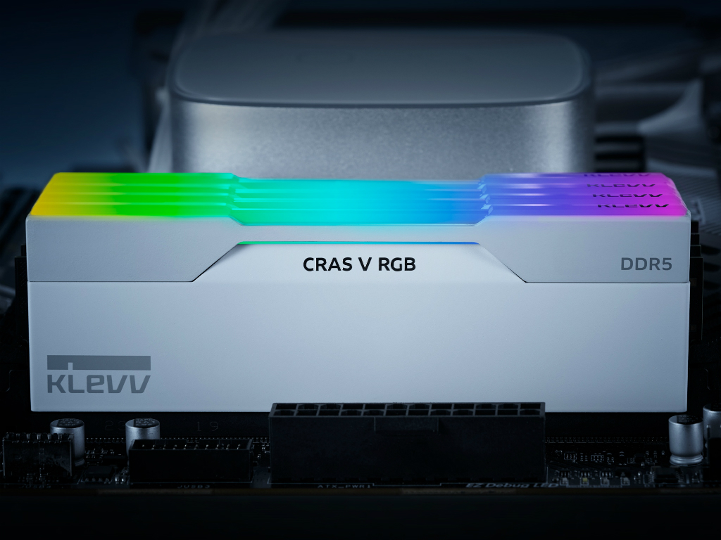 cras_v_rgb_002