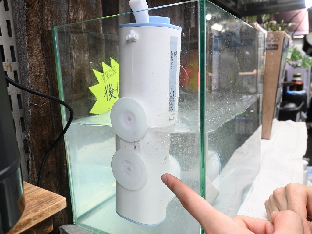 260323rare_05
